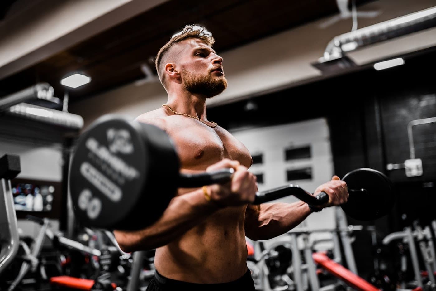 ENTRENAMIENTO DE LA FUERZA